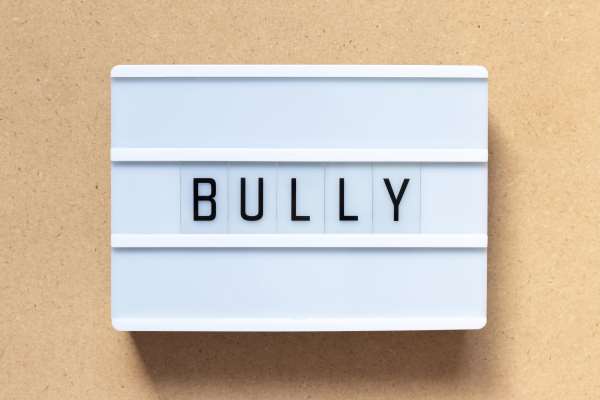 Bully Profiles-Part One-Bully